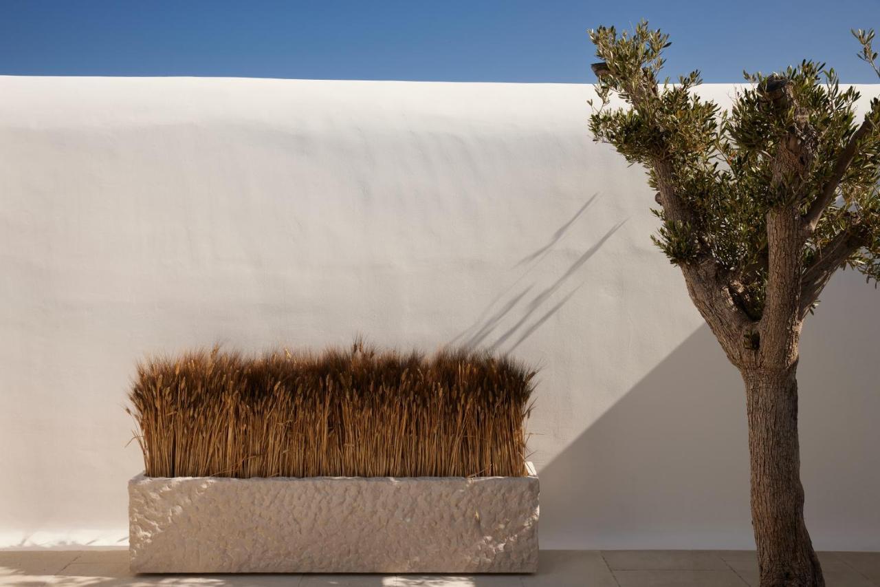 ホテル Kalesma Mykonos オルノス エクステリア 写真